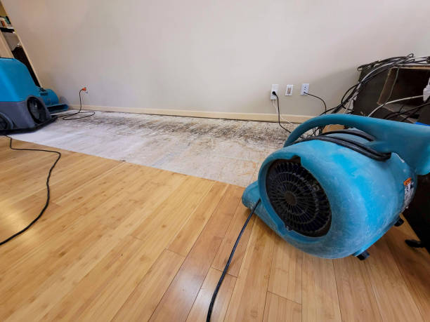 Professional Water Damage Repair technician working in Peapack, NJ